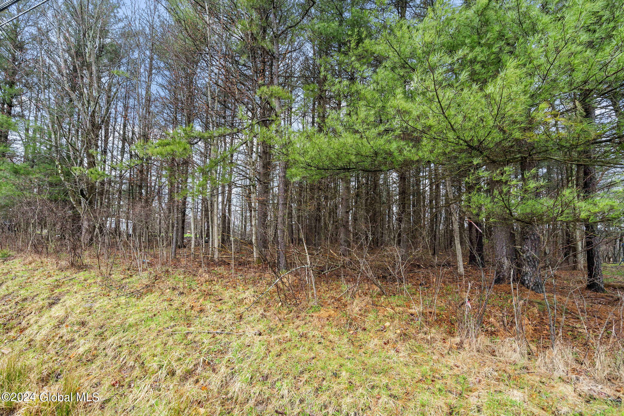 L25.3 Waterbury Road Nassau, NY 12123 - Photo 1 of 1 land