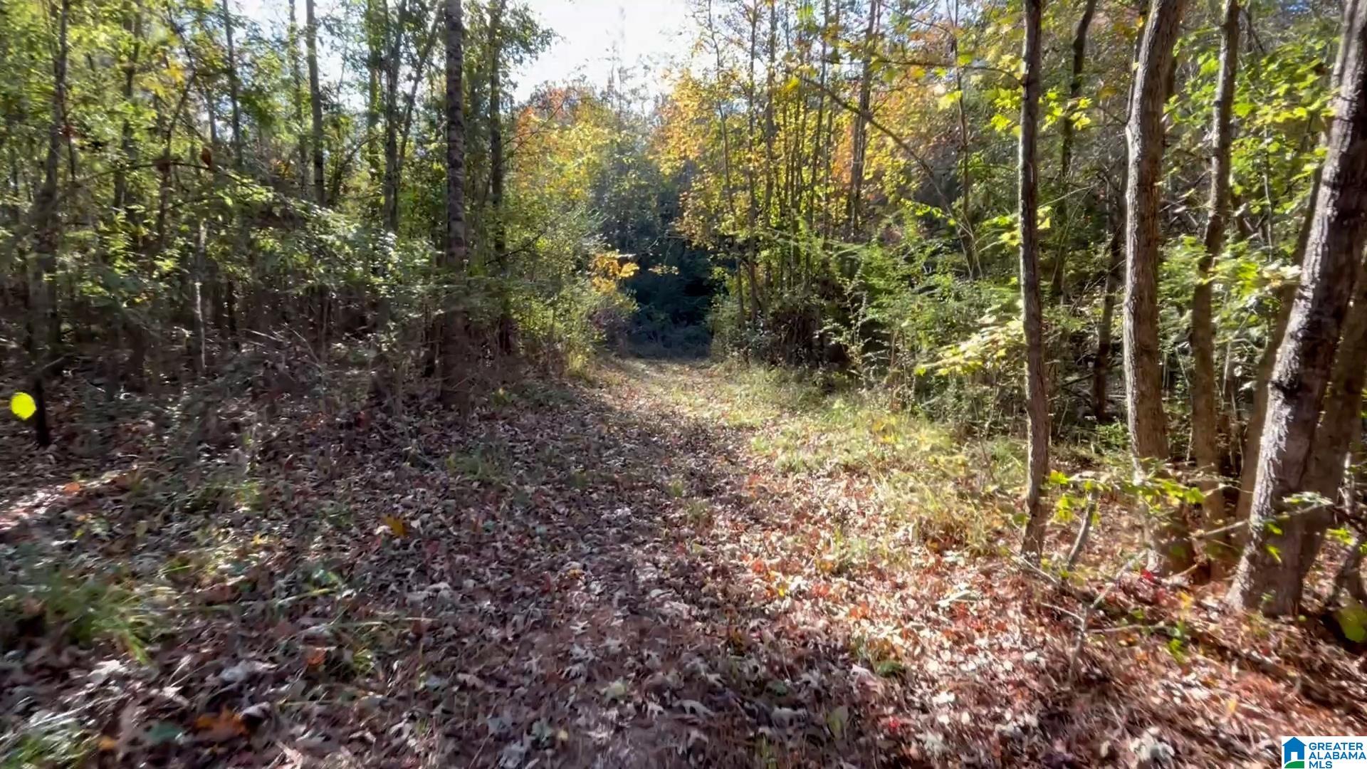 3294 Brady Road, Unit 24 ACRES Letohatchee, AL 36047 - Photo 13 of 44 Gallery Image 13
