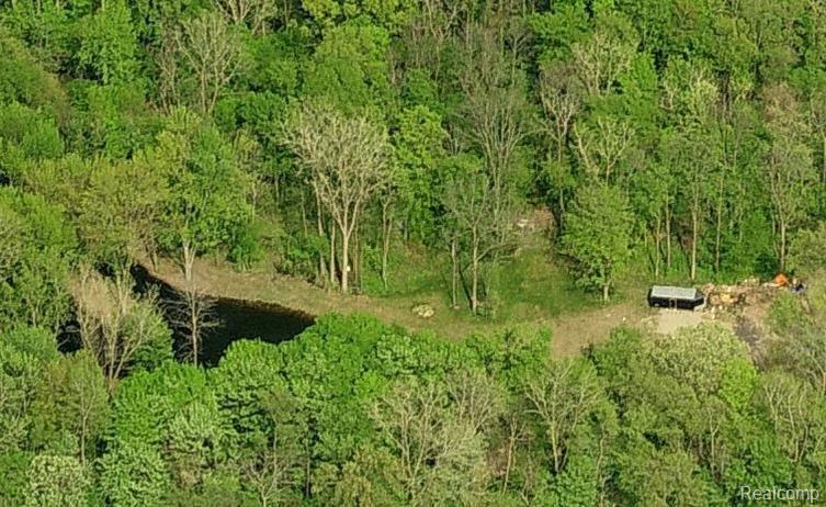 Par A West Van Orden Road Fowlerville, MI 48836 - Photo 1 of 3 Pond
