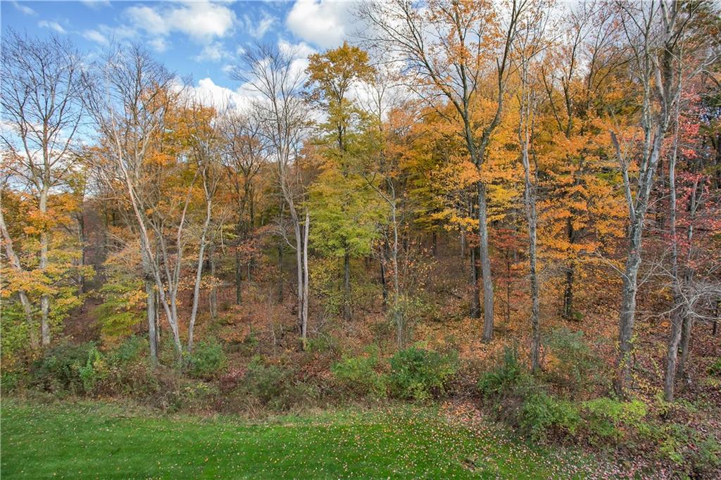 808 Stockton Ridge Cranberry Township, PA 16066 - Photo 11 of 25 a view of a pathway both side of a yard