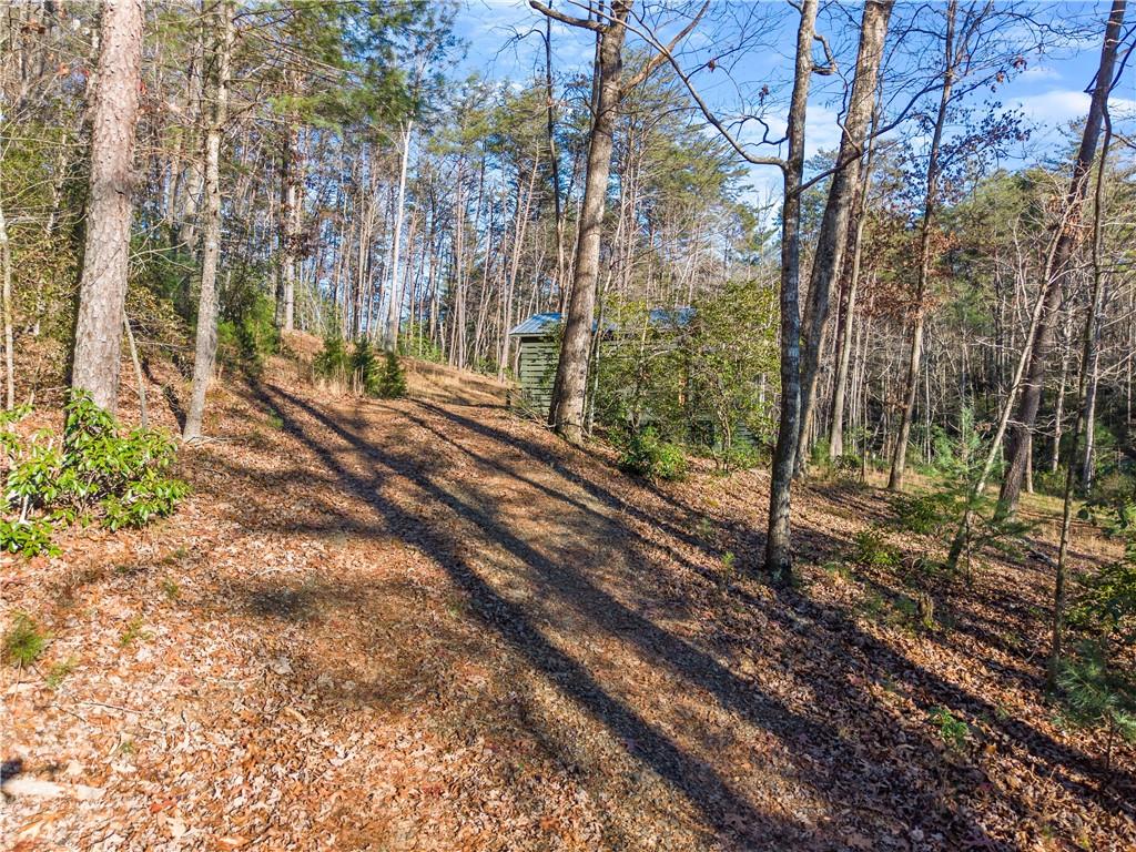 121 Waterfalls Way Clarkesville, GA 30523 - Photo 11 of 60 a view of a yard with plants and trees