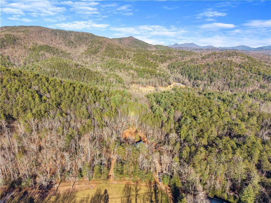121 Waterfalls Way Clarkesville, GA 30523 - Photo 53 of 60 a view of a mountain range with lush green forest