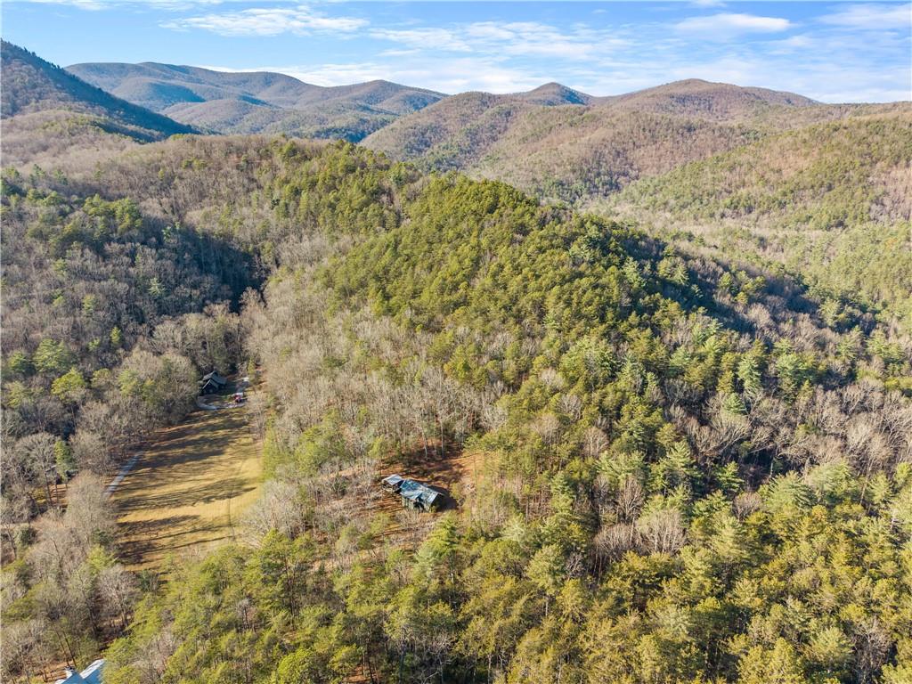 121 Waterfalls Way Clarkesville, GA 30523 - Photo 55 of 60