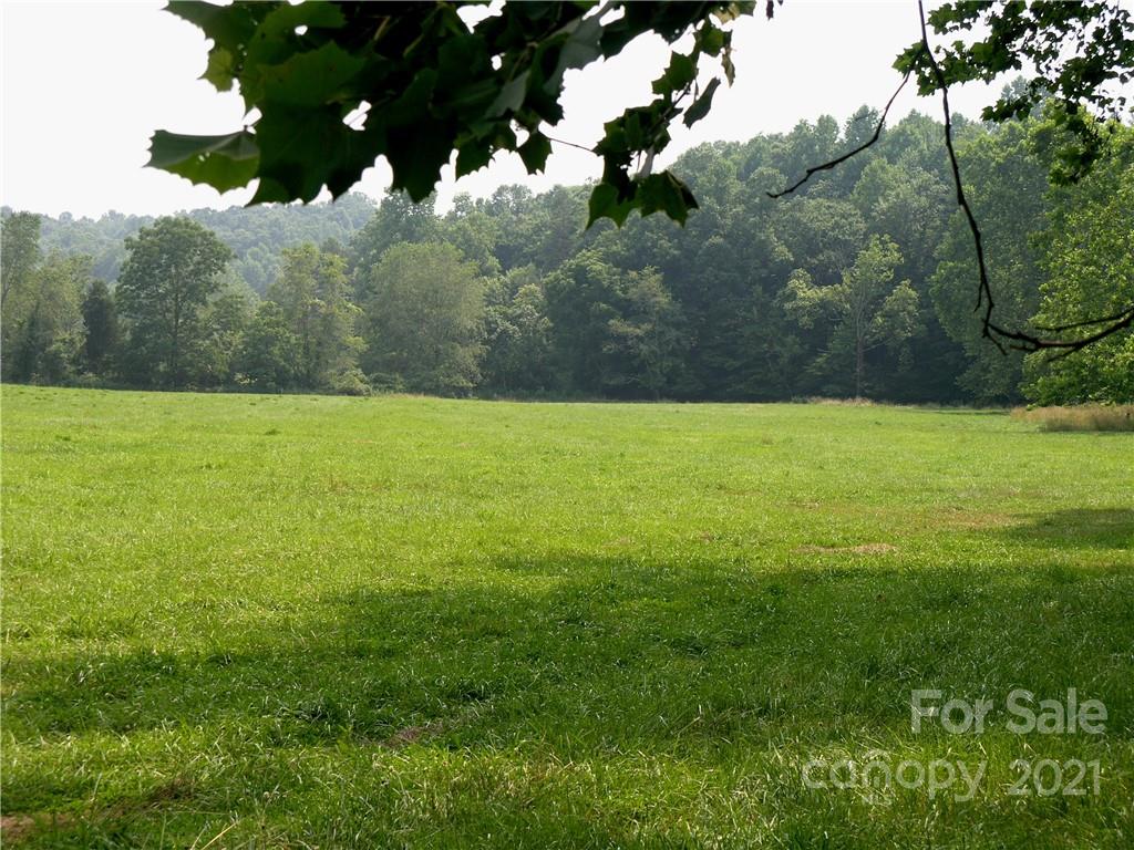 1724 Swaringen Road Traphill, NC 28685 - Photo 20 of 20 Gallery Image 20