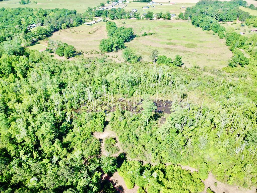 65-acres County Line Road Dothan, AL 36305 - Photo 29 of 37