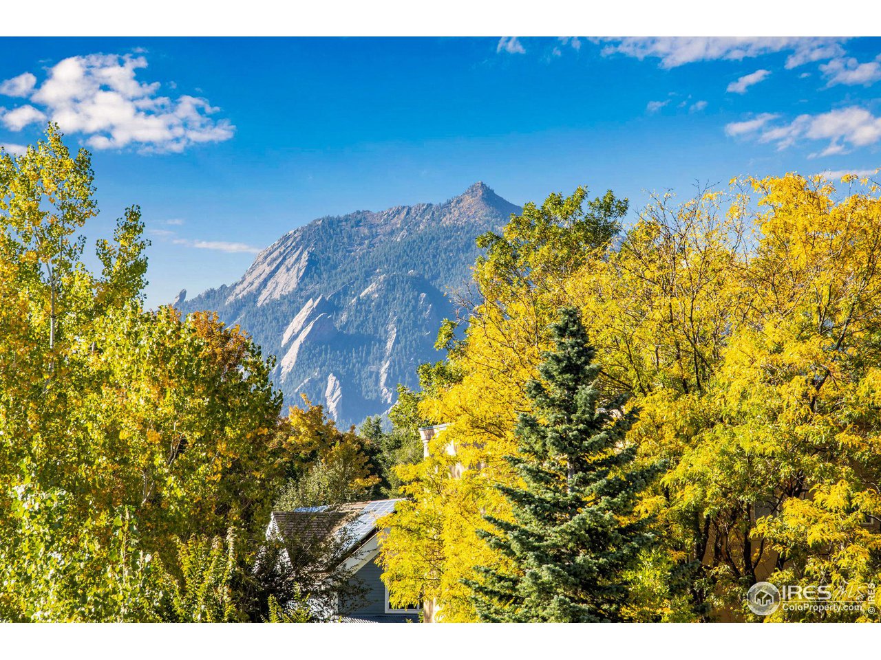 2659 Juniper Avenue, Unit 30 Boulder, CO 80304 - Photo 18 of 35 a view of a flower