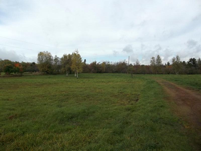 Xx Ridge Road Robbinston, ME 04671 - Photo 4 of 6 100_9021