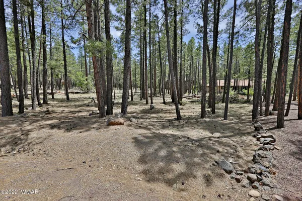 a view of park