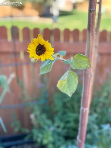 a view of a backyard with a garden