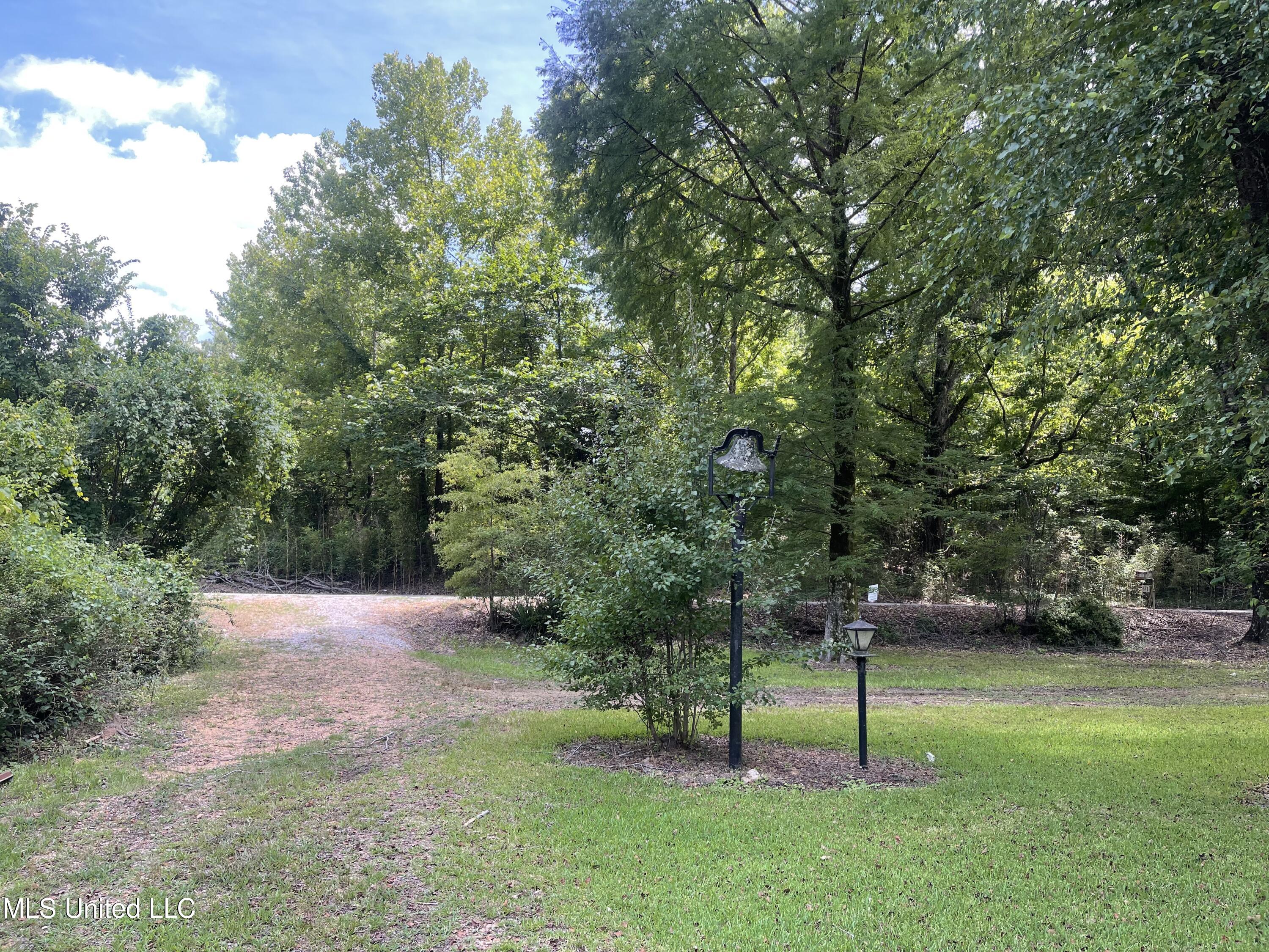 225 D E Denman Road Charleston, MS 38921 - Photo 5 of 27 Driveway
