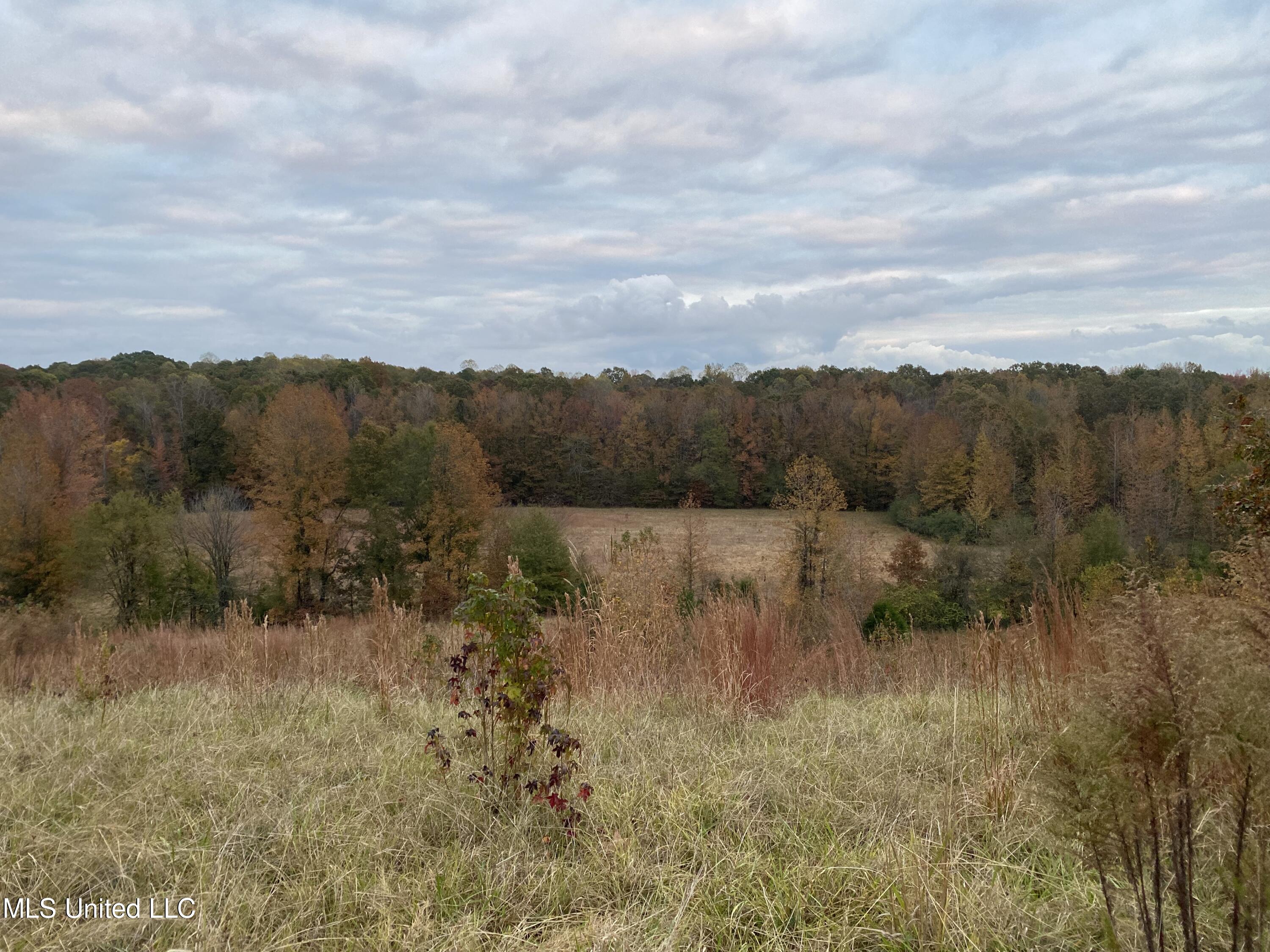 225 D E Denman Road Charleston, MS 38921 - Photo 6 of 27 Fields