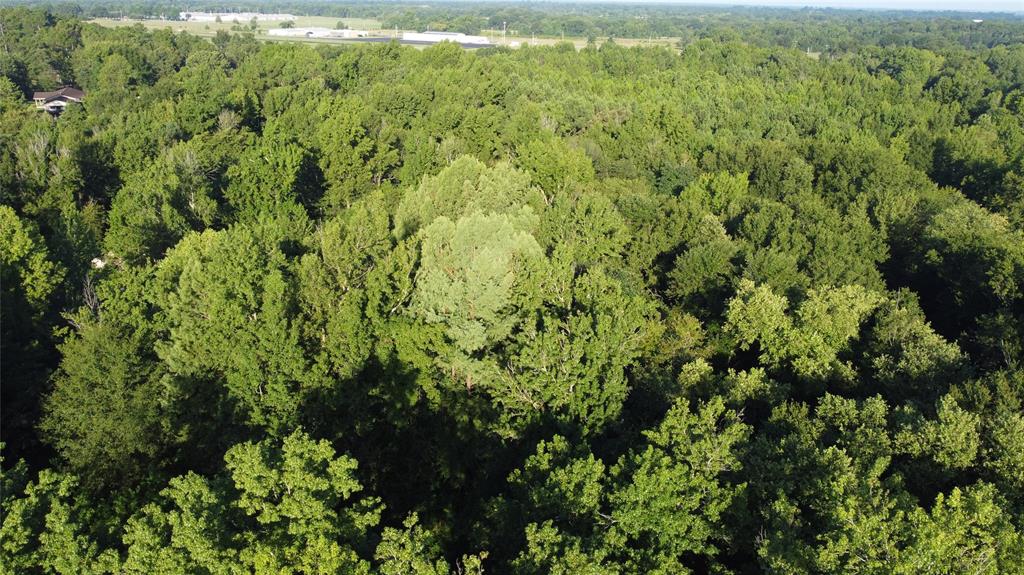 1111 Gilmer Road Winnsboro, TX 75494 - Photo 2 of 11 a view of a lush green forest with houses
