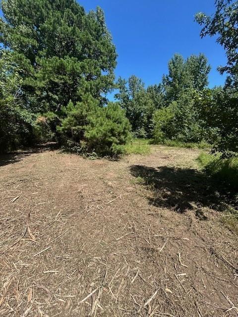 1111 Gilmer Road Winnsboro, TX 75494 - Photo 5 of 11 a view of dirt yard with a large tree