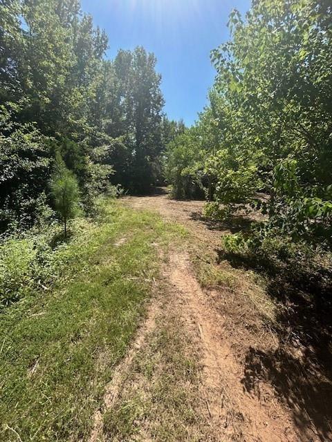 1111 Gilmer Road Winnsboro, TX 75494 - Photo 8 of 11 a view of a yard with plants and trees