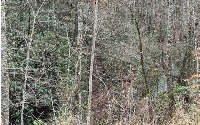 Additional View