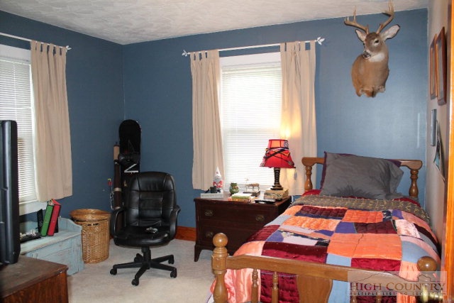 626 Roy Goodman Road Crumpler, NC 28617 - Photo 16 of 19 Gallery Image 16