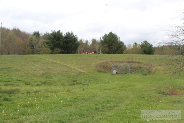 626 Roy Goodman Road Crumpler, NC 28617 - Photo 7 of 19 Gallery Image 7