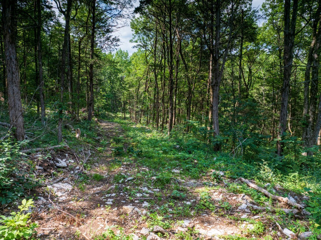 0 McElroy Road Readyville, TN 37149 - Photo 15 of 19