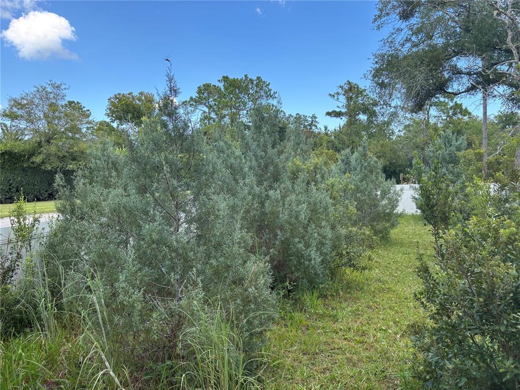 213 Riverbend Road Ormond Beach, FL 32174 - Photo 84 of 91 Gallery Image 84