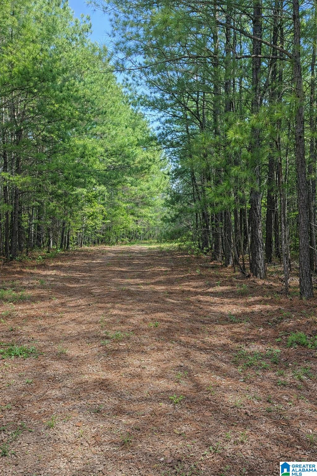 521 County Road 151 Jemison, AL 35085 - Photo 51 of 52