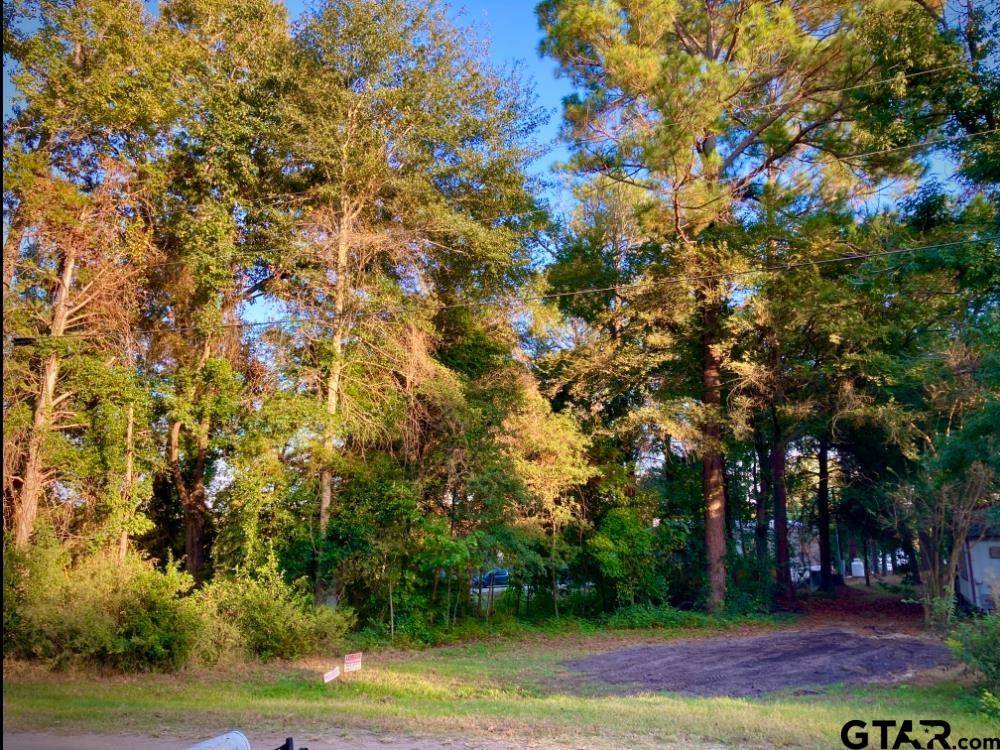 262 Walnut Trail Murchison, TX 75778 - Photo 2 of 20 nice level lot with lake view