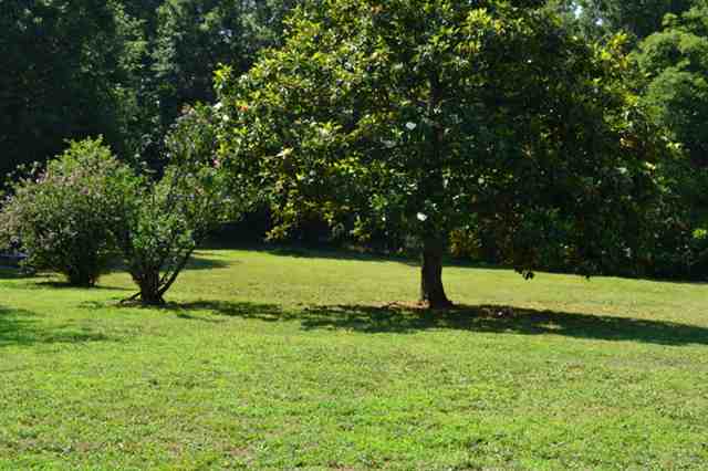307 Old Seneca Road Six Mile, SC 29682 - Photo 14 of 25 Gallery Image 14