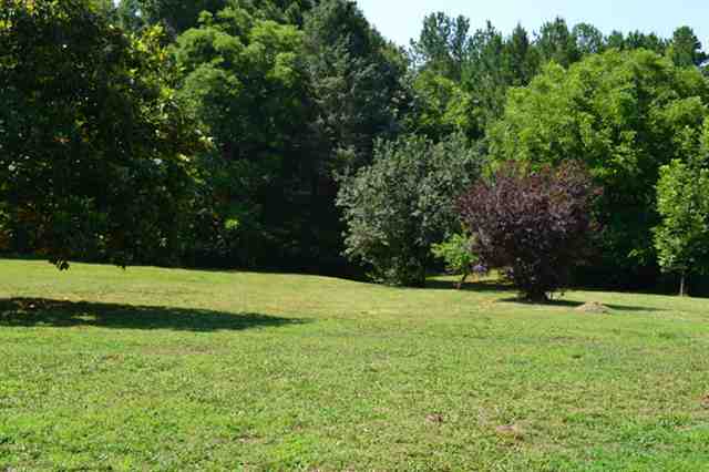 307 Old Seneca Road Six Mile, SC 29682 - Photo 23 of 25 Gallery Image 23