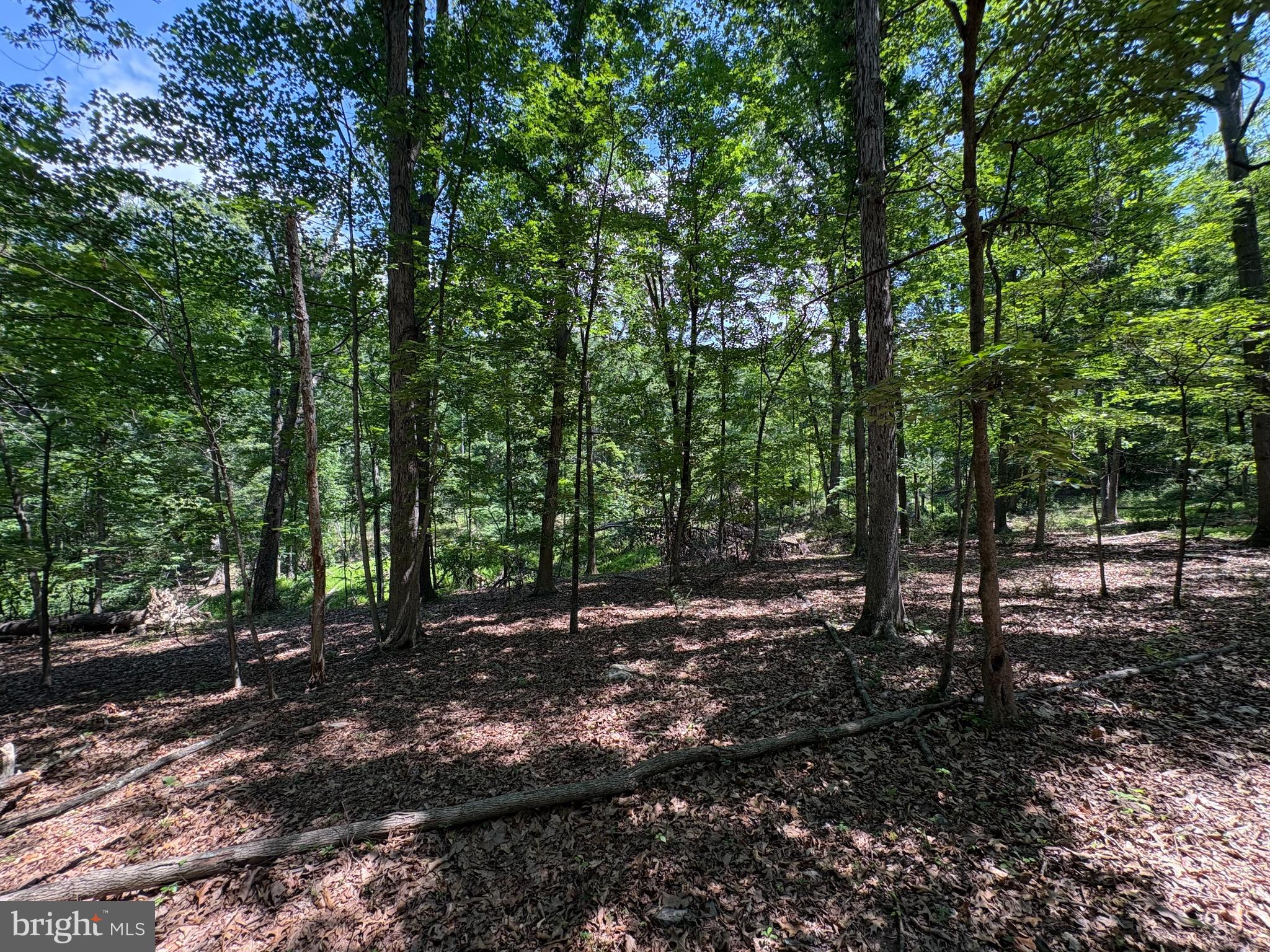 16 Rolling Acres Road Old Fields, WV 26845 - Photo 15 of 21
