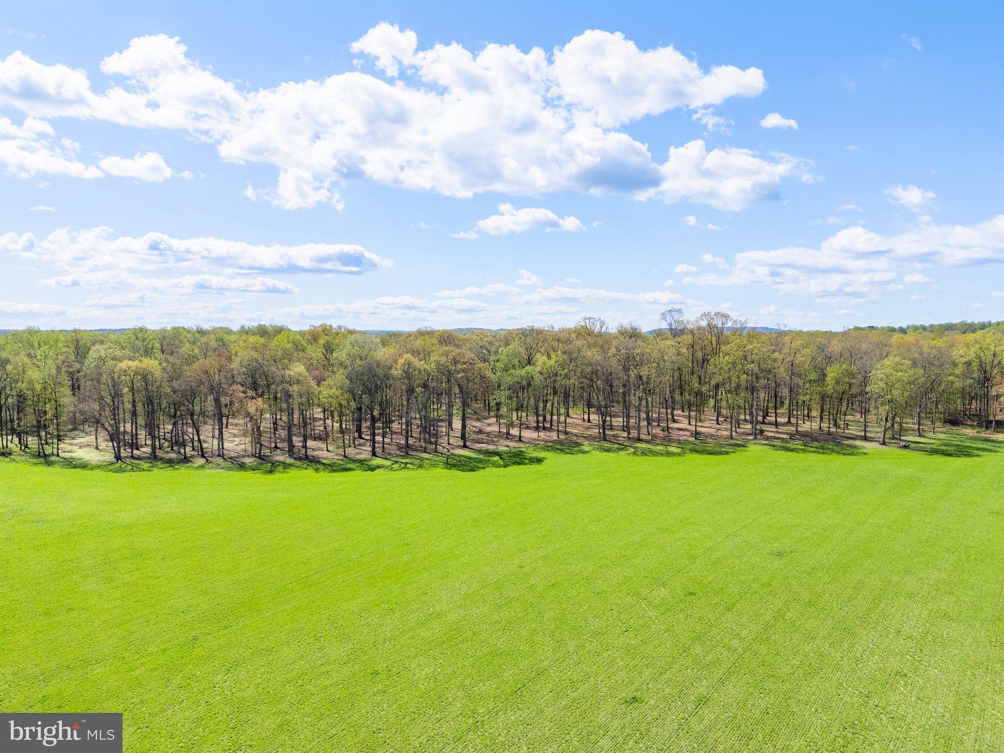 Atoka Road Marshall, VA 20115 - Photo 18 of 26 a view of a big yard with swimming pool and an outdoor seating