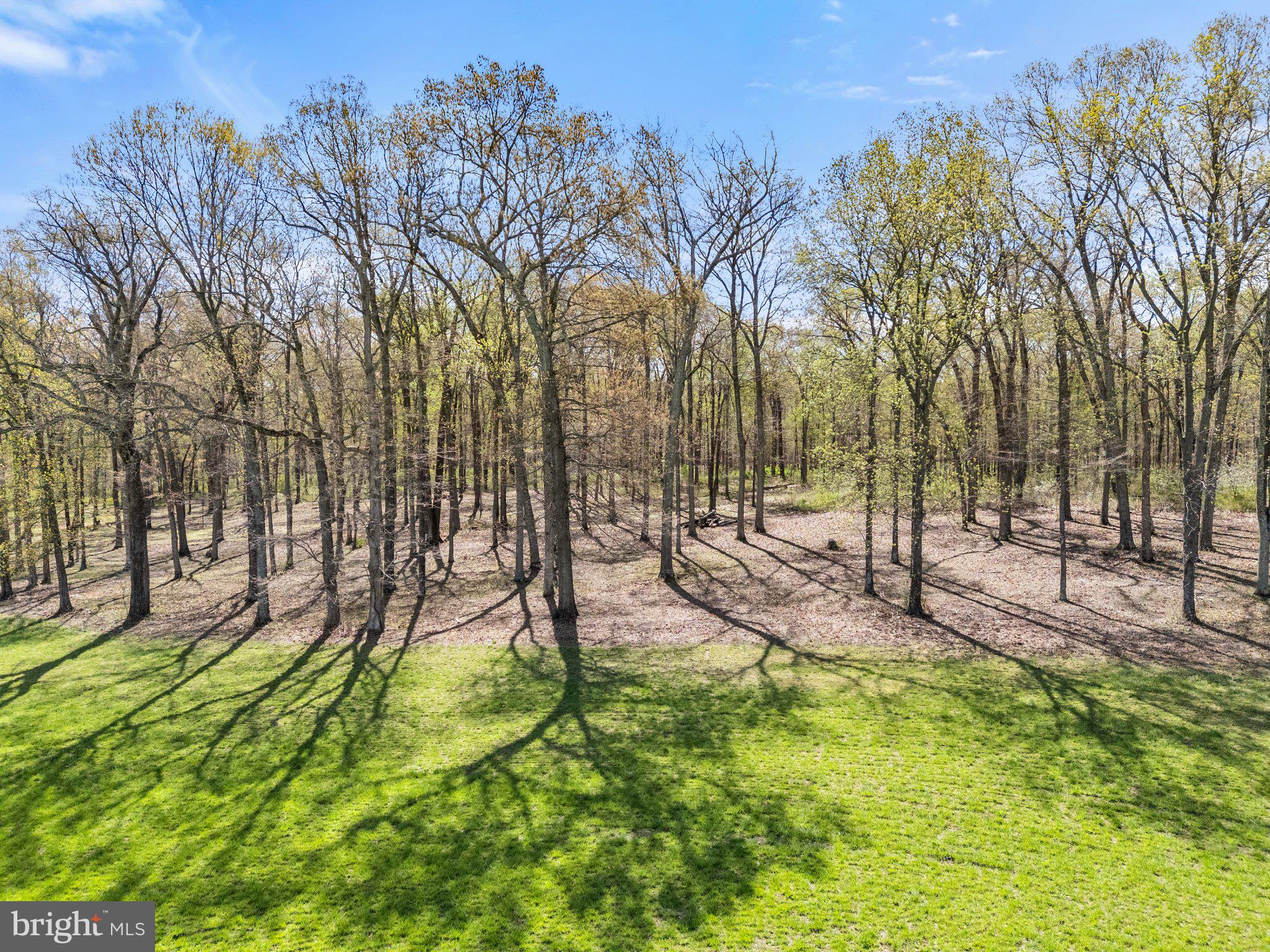 Atoka Road Marshall, VA 20115 - Photo 25 of 26 a view of a backyard with a slide