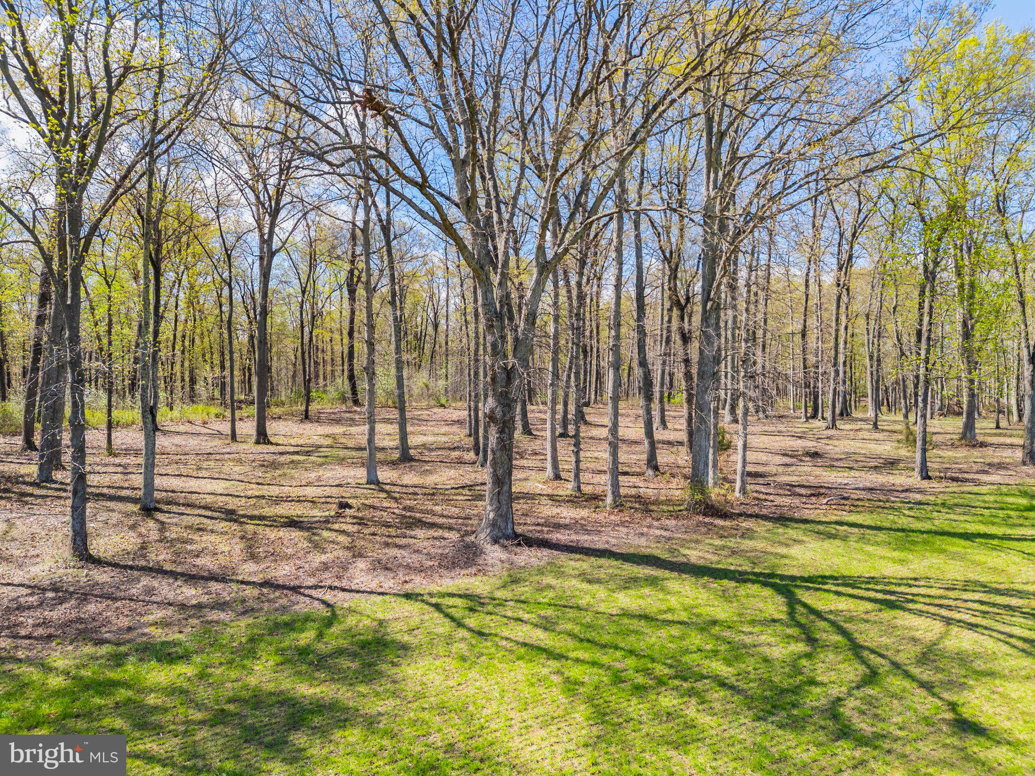 Atoka Road Marshall, VA 20115 - Photo 26 of 26 a view of yard with tree