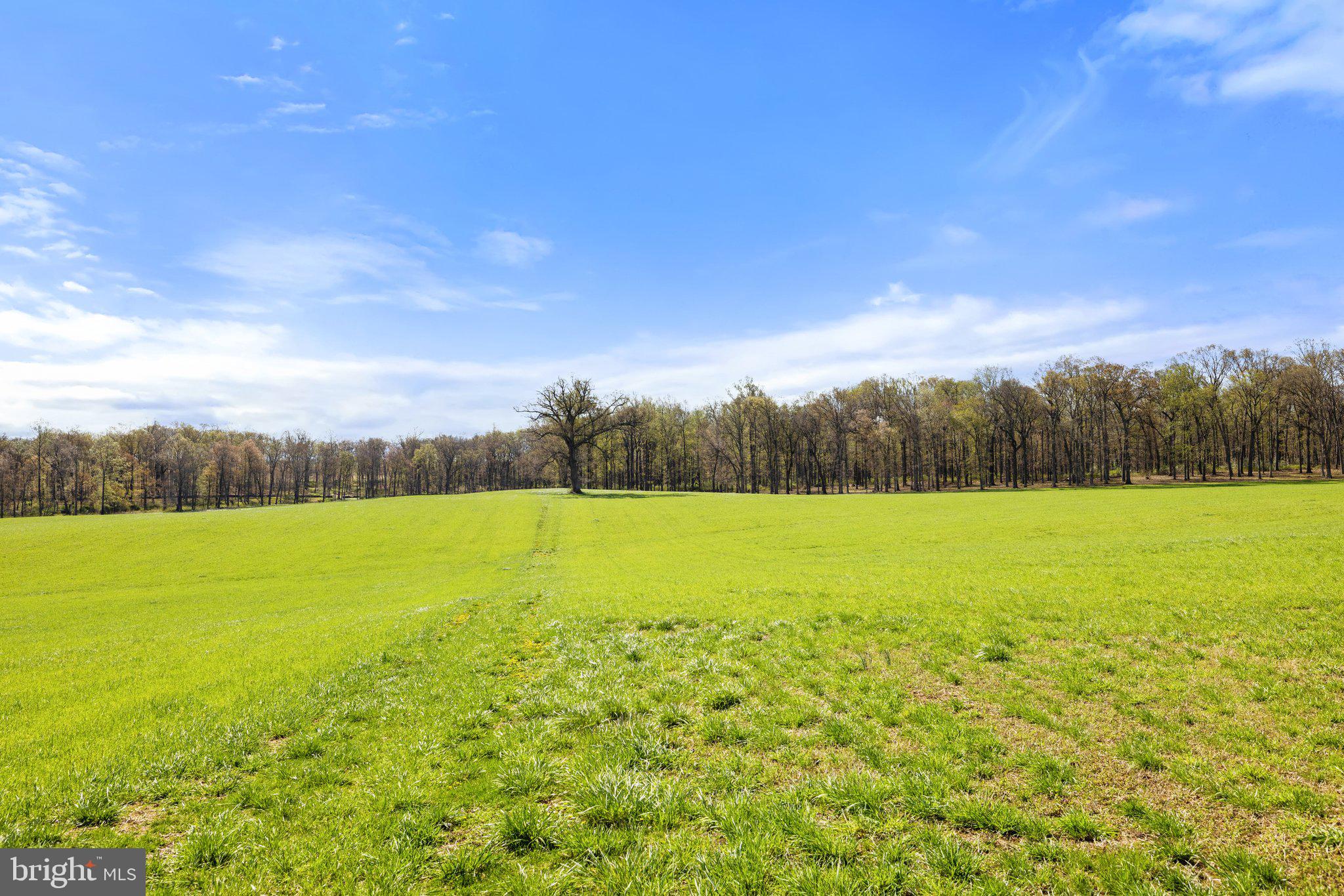 Atoka Road Marshall, VA 20115 - Photo 7 of 26 a view of an outdoor space and a yard