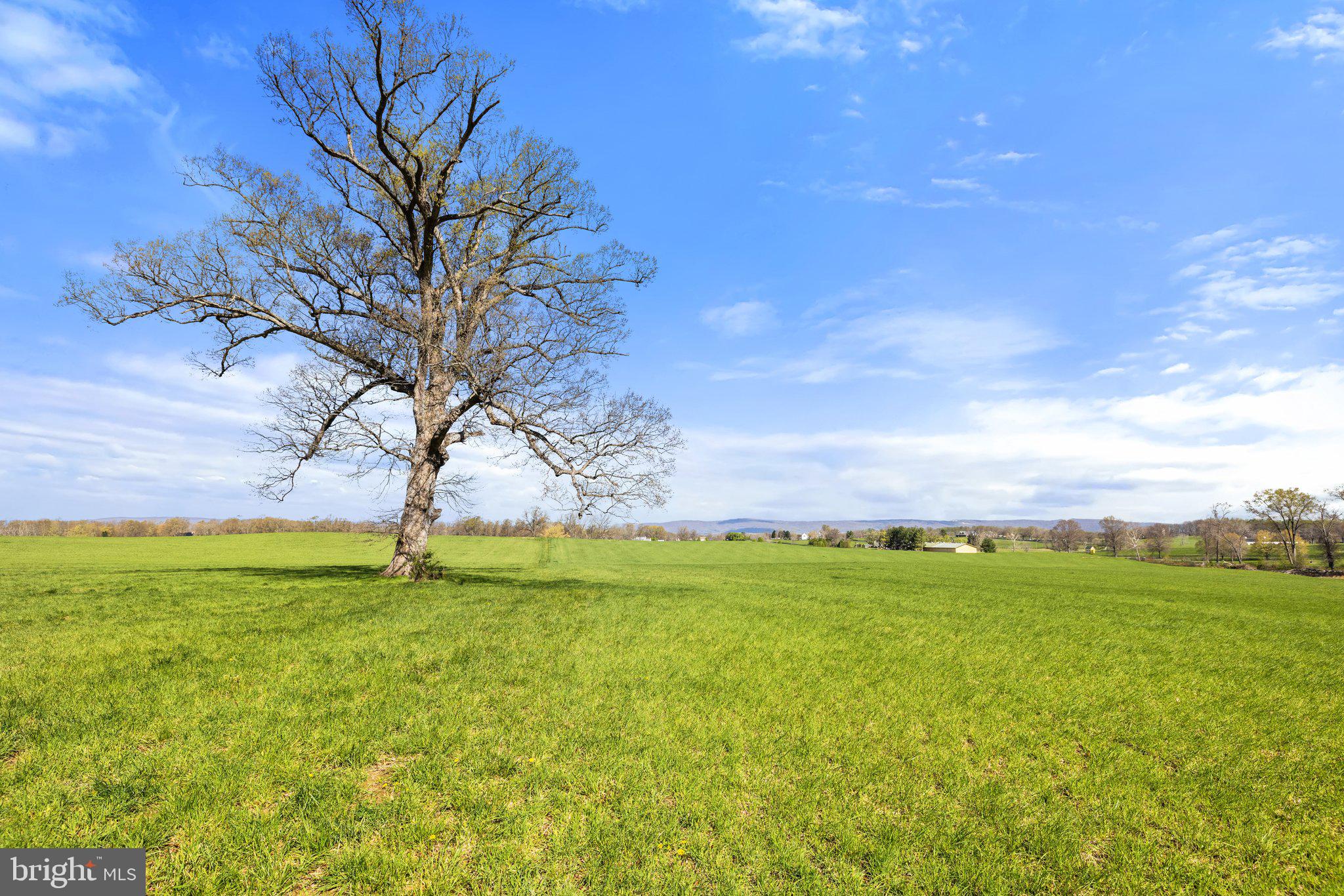 Atoka Road Marshall, VA 20115 - Photo 8 of 26 a big yard with lots of green space