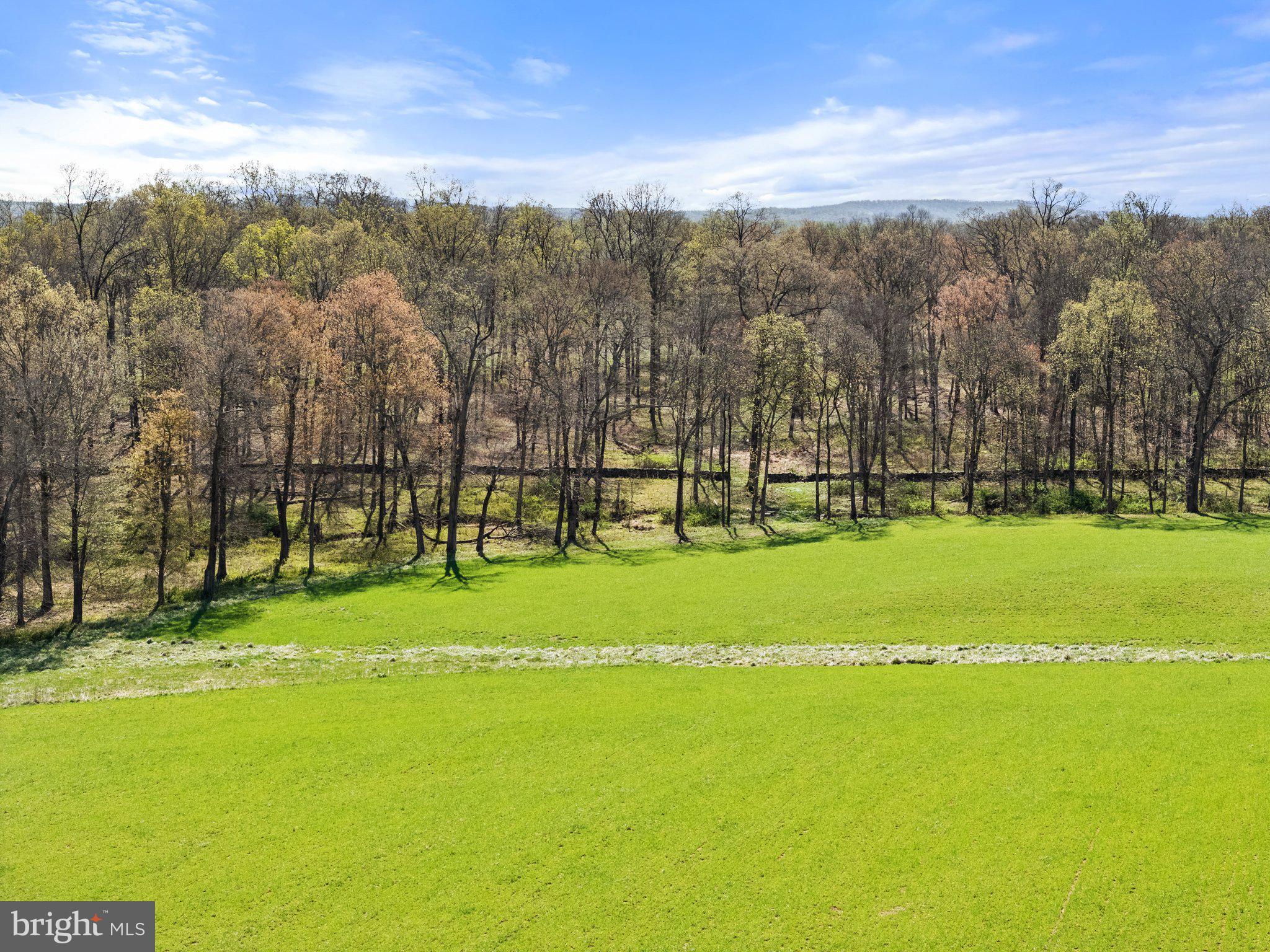 Atoka Road Marshall, VA 20115 - Photo 10 of 26 a view of a golf course with a lake