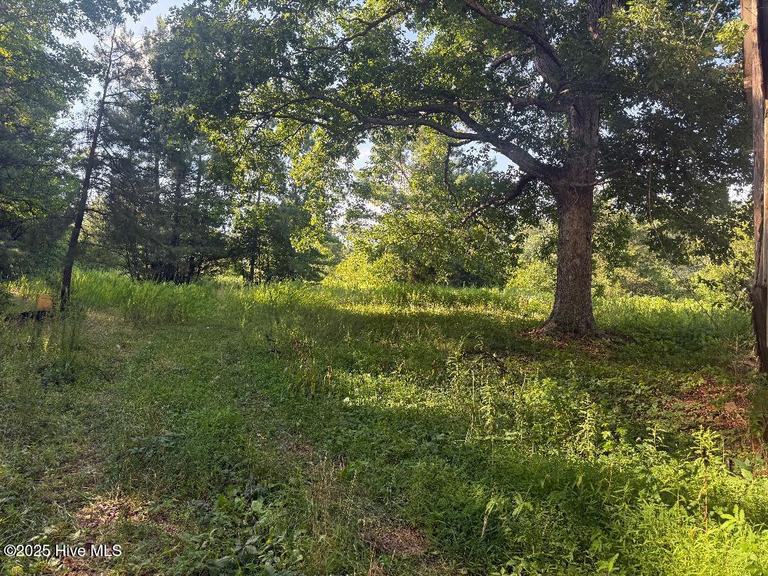 1111 Embro-Vaughn Road Macon, NC 27551 - Photo 13 of 17 portion of cleared land