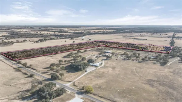 a view of an ocean beach