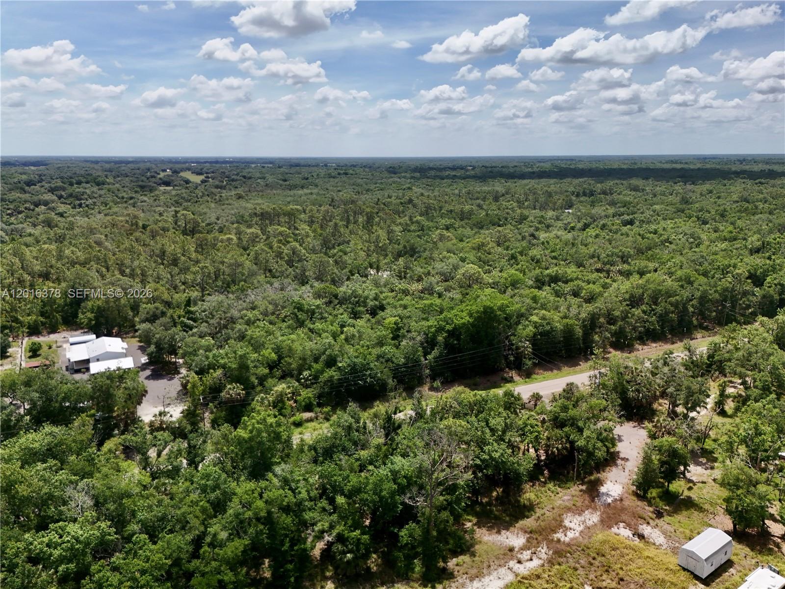 0 Southwest Gator Trail Arcadia, FL 34266 - Photo 11 of 21 a view of a lake