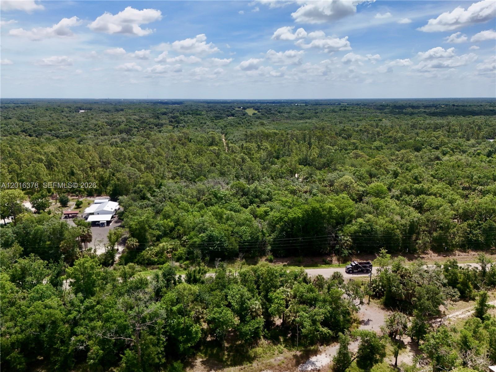 0 Southwest Gator Trail Arcadia, FL 34266 - Photo 12 of 21 a view of a bunch of trees