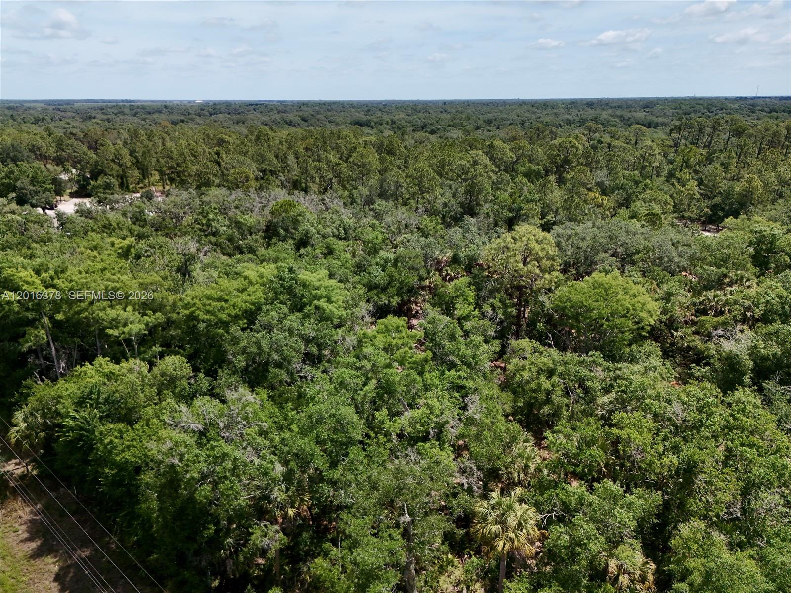 0 Southwest Gator Trail Arcadia, FL 34266 - Photo 13 of 21 an aerial view of a houses with a yard