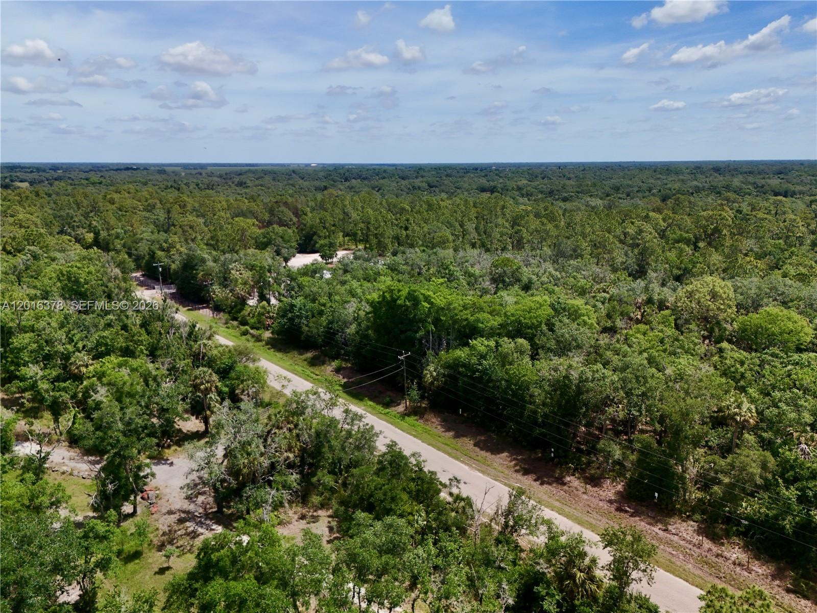 0 Southwest Gator Trail Arcadia, FL 34266 - Photo 18 of 21 an aerial view of residential houses with outdoor space and trees