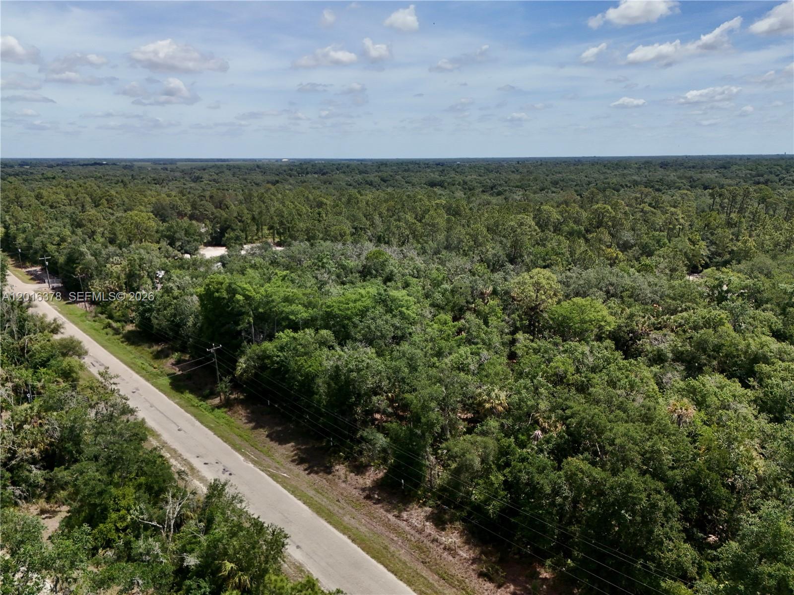 0 Southwest Gator Trail Arcadia, FL 34266 - Photo 19 of 21 a view of a city with lush green forest