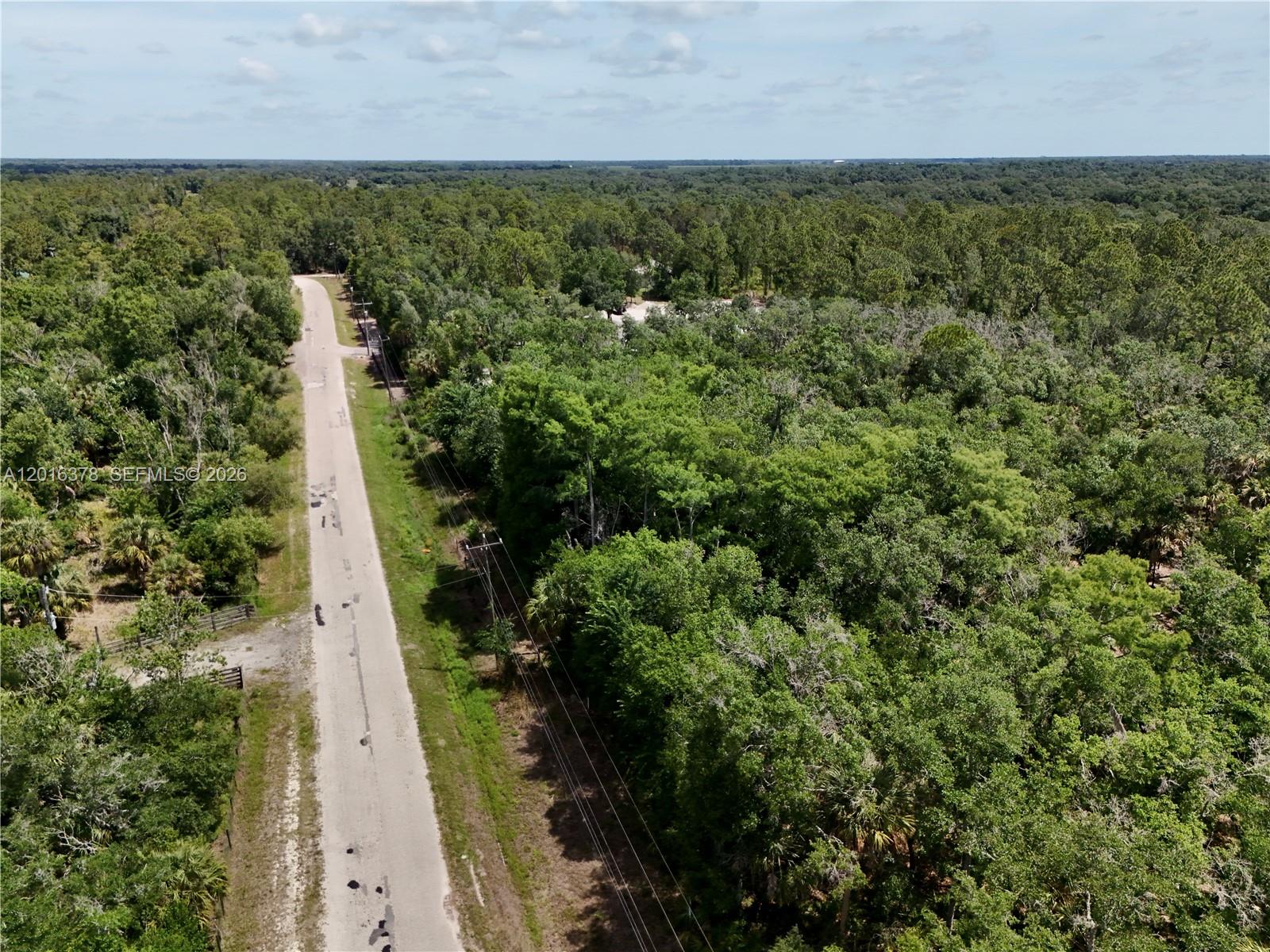 0 Southwest Gator Trail Arcadia, FL 34266 - Photo 21 of 21 a view of a yard with lots of trees