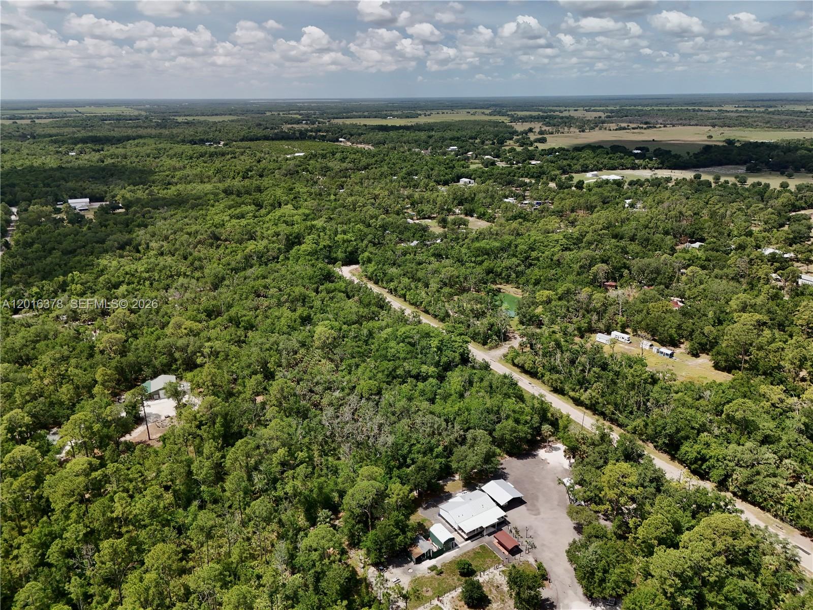 0 Southwest Gator Trail Arcadia, FL 34266 - Photo 4 of 21 a view of a bunch of trees and houses