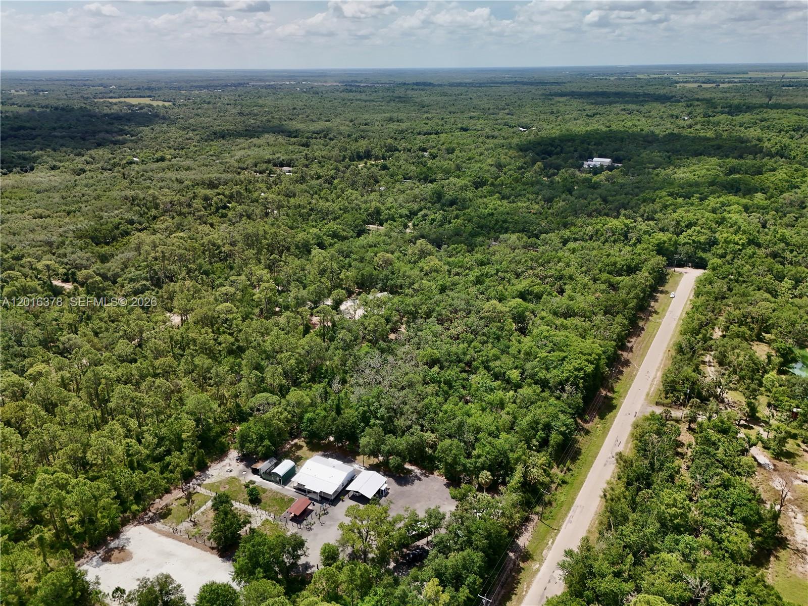 0 Southwest Gator Trail Arcadia, FL 34266 - Photo 8 of 21 a view of a lush green forest with lots of trees