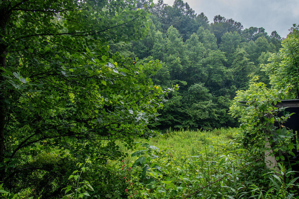 0 R R Vancleve Road Campton, KY 41301 - Photo 16 of 22 DSC_1797