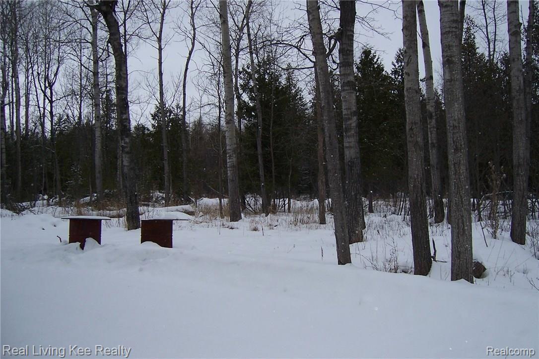 6498 Misery Bay Road Alpena, MI 49707 - Photo 16 of 34 6498 misery bay 053.JPG