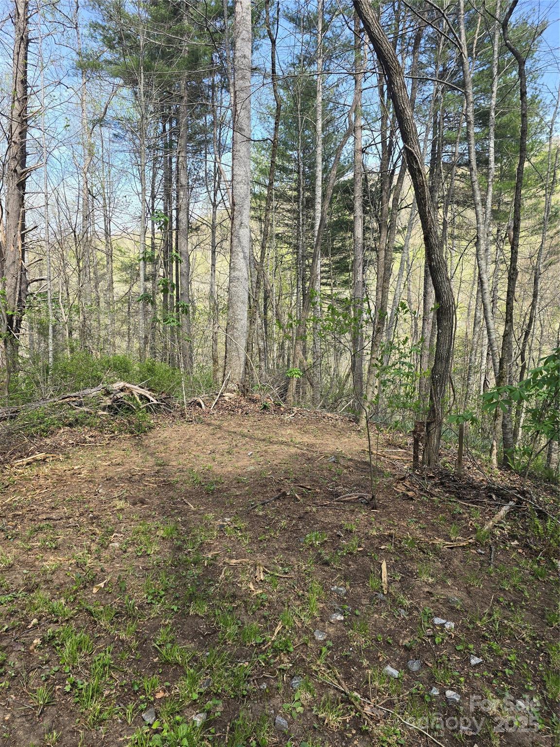 Lot 13 Hares Ear Lane, Unit 13 Cullowhee, NC 28723 - Photo 21 of 23 a view of outdoor space and yard