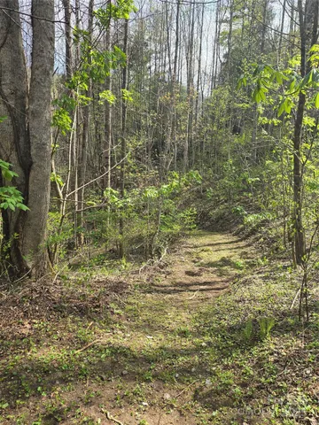 a view of a yard with plants and wooden fence
