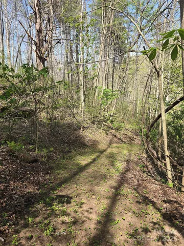 $135,000 | Lot 13 Hares Ear Lane, Unit 13, Cullowhee, NC 28723