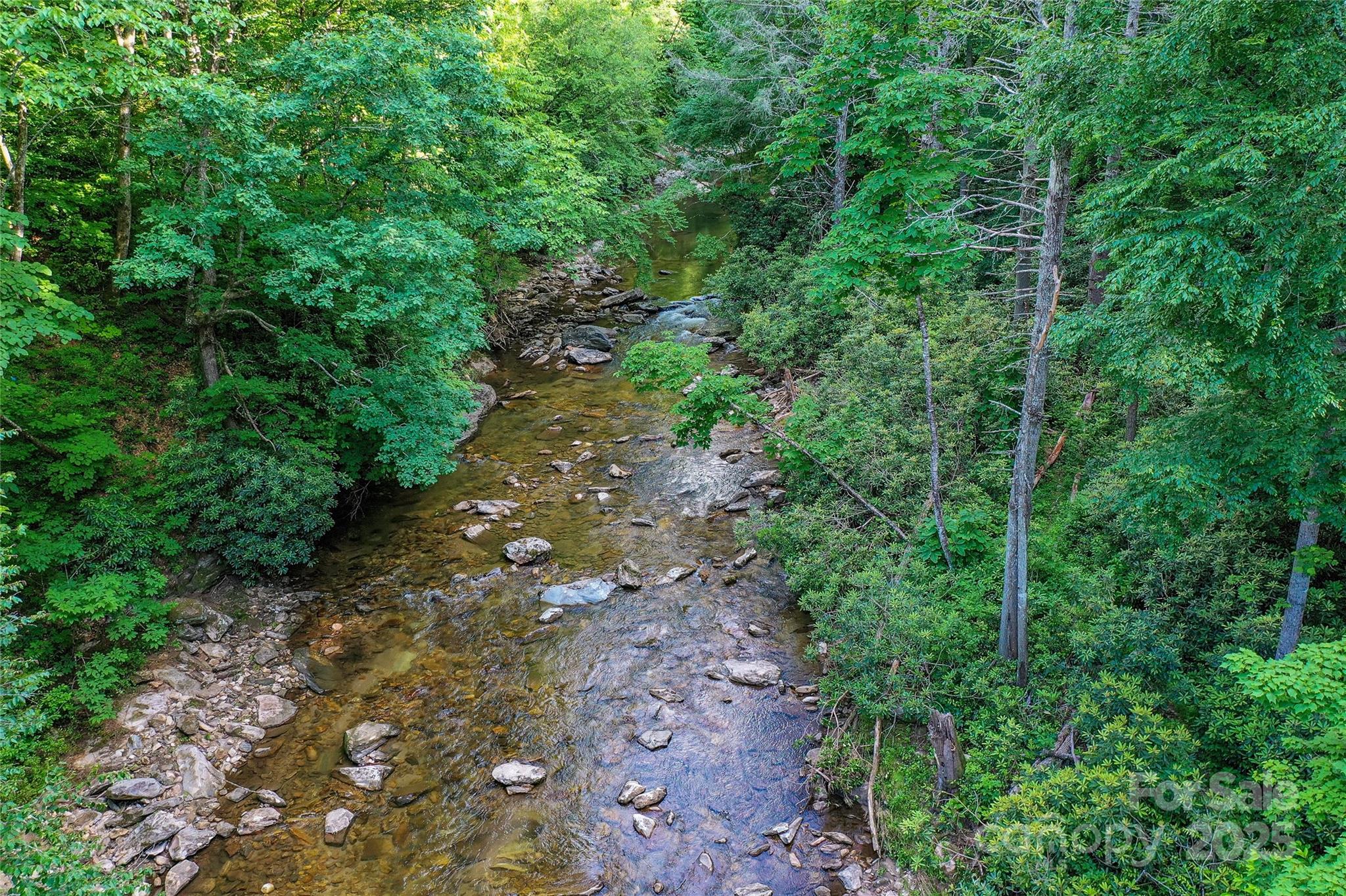 Lot 13 Hares Ear Lane, Unit 13 Cullowhee, NC 28723 - Photo 4 of 23 a view of a large yard with lots of trees